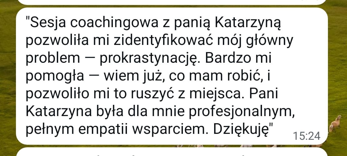 Zdjęcie WhatsApp 2025-09-04 o 16.56.32_9427ad2c