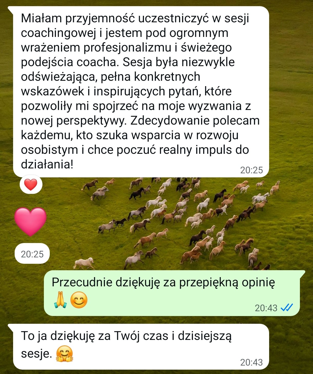 opinia